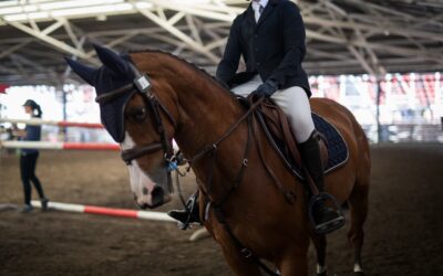 Preparing for Show Season: Why Vaccines Are Key to Your Horse’s Health and Success